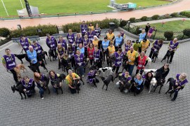 63 dogs find forever homes at Greyhound Adoption Day
