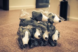 Win a baby greyhound toy in GAP’s photo competition