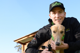 Greyhound Adoption Day races to the finish line at Sandown
