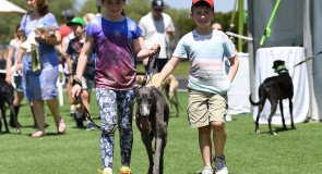 Crowds turn up for a great Greyhound Community Day