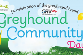 Join us at our up-coming Greyhound Community Day and Greyhound Adoption Day on Saturday 17 March.