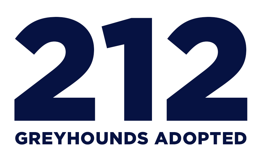 National Greyhound Adoption Day