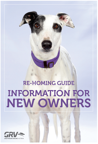 GRV-rehoming-guide-for-new-owners.png