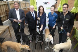 Minister at GAP Café for muzzles coming off