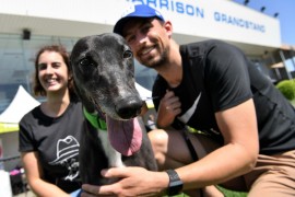 Greyhound lovers flock to community day