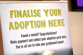 GAP Adoption Day – The Meadows