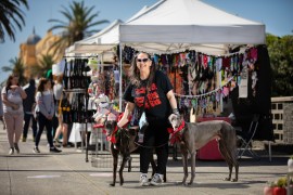 GAP greyhounds are visiting the Esplanade market this Sunday. Coming for a pat?