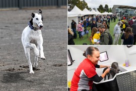 Greyhound community turns out in droves