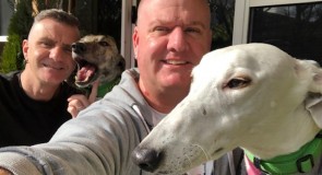 One Greyhound Isn’t Enough, Just Ask Rodney & Sean