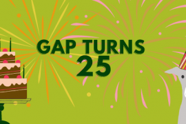 GAP Turns 25