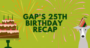 GAP’s 25th Birthday Recap