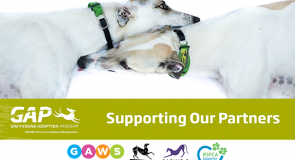 GAP contributes $6,000 to rehoming partners