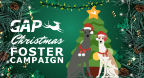 You’re invited, Christmas Foster Campaign