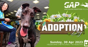 Melbourne Adoption Day to cap National Adoption Month