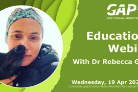 Educational Webinar 2: Reserve your place