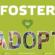 Foster to Adopt