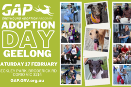 GAP Adoption Day – Geelong