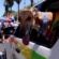 Greyhounds a hit at Midsumma Pride March