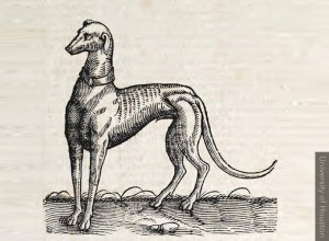 1000-greyhound-history-slide5